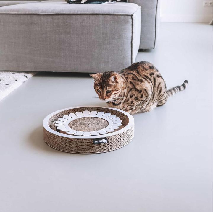 Image du produit District 70 Jouets pour chats Plateau de jeu Bloom White, 32 x 32 x 6 cm (Jouet à gratter chat)