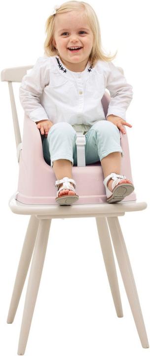 Immagine prodotto Thermobaby seggiolino tudi rosa cipria (Sedile da tavolo)