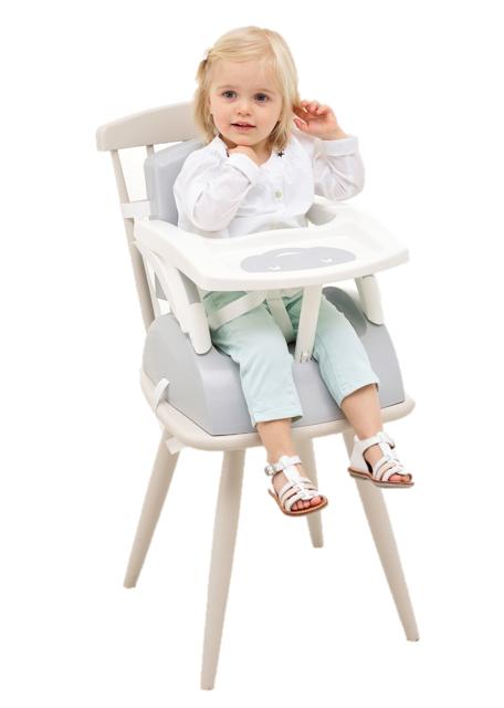 Image du produit Thermobaby 2 en 1 progressif (Chaise haute Rehausseur)