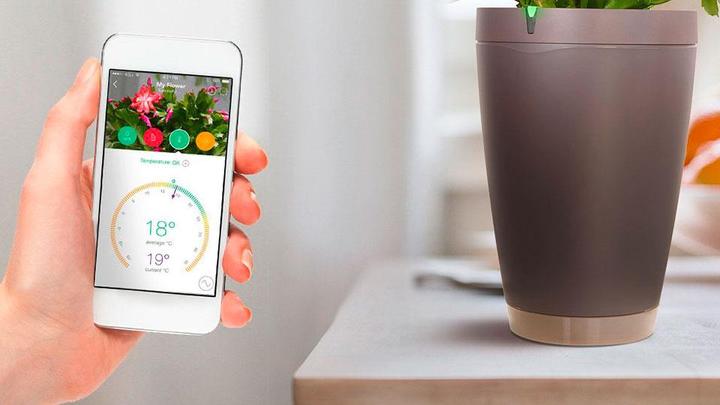 Produktbild Parrot Flower Power Pot Pflanzensensor