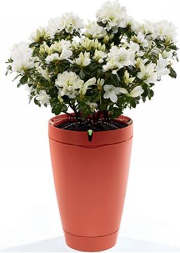 Produktbild Parrot Flower Power Pot Pflanzensensor