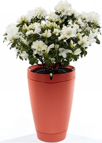 Produktbild Parrot Flower Power Pot Pflanzensensor