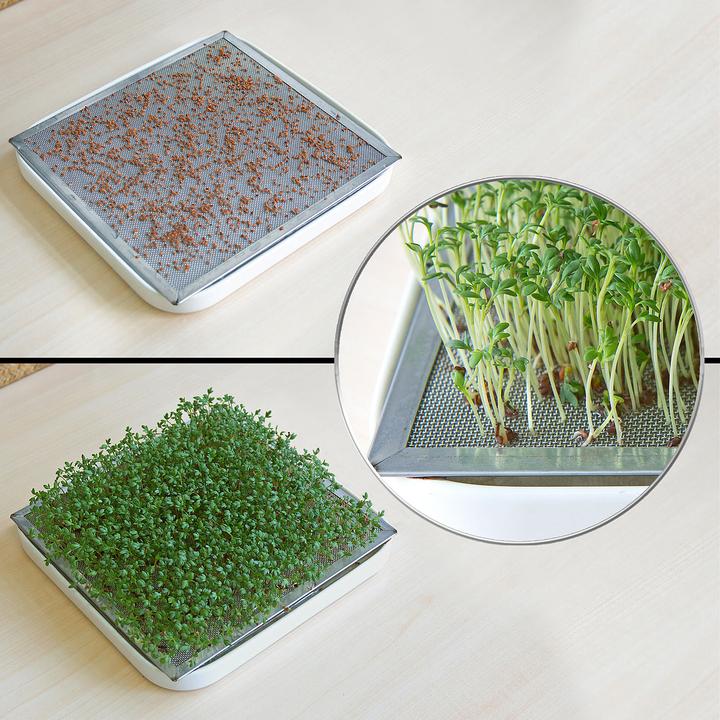 Produktbild Royal Gardineer Keimglas 2er-Set