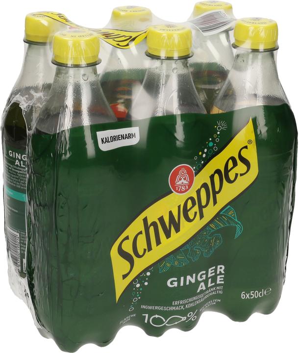 Actual product image Schweppes ginger ale (6 x 50 cl)