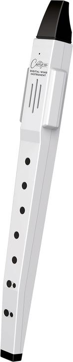 Actual product image Blackstar Carry-On Digital Wind Instrument