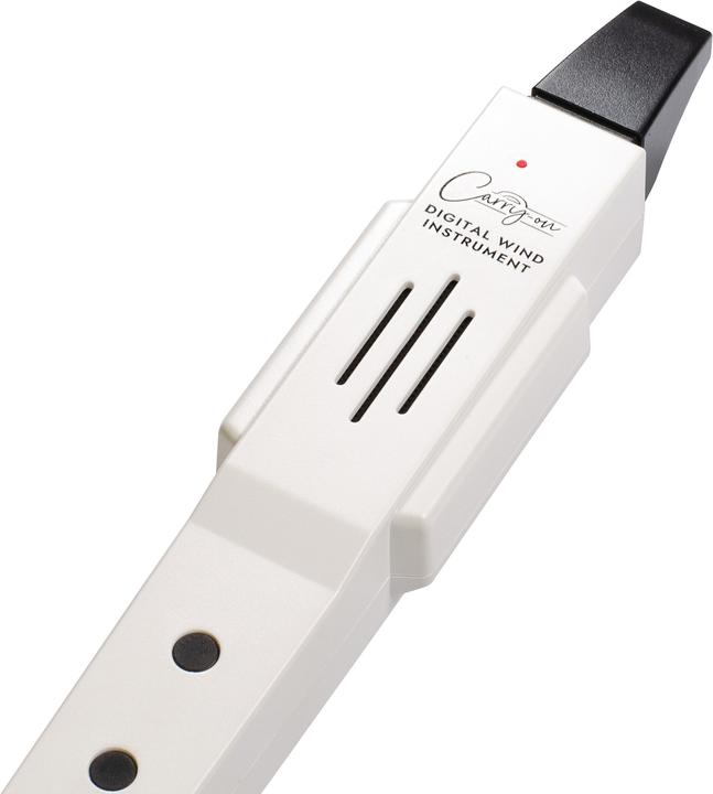 Actual product image Blackstar Carry-On Digital Wind Instrument