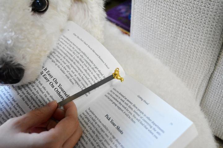 Actual product image Metalmorphose Bookmark Leopard