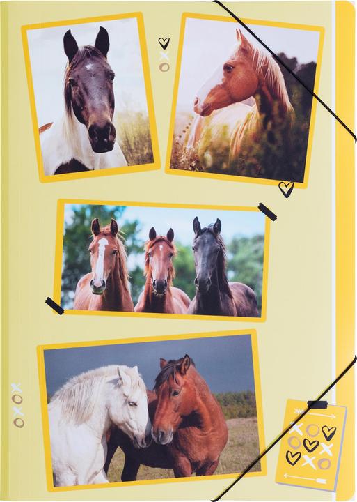 Image du produit Pagna Gummizugmappe (A4, 1 x)