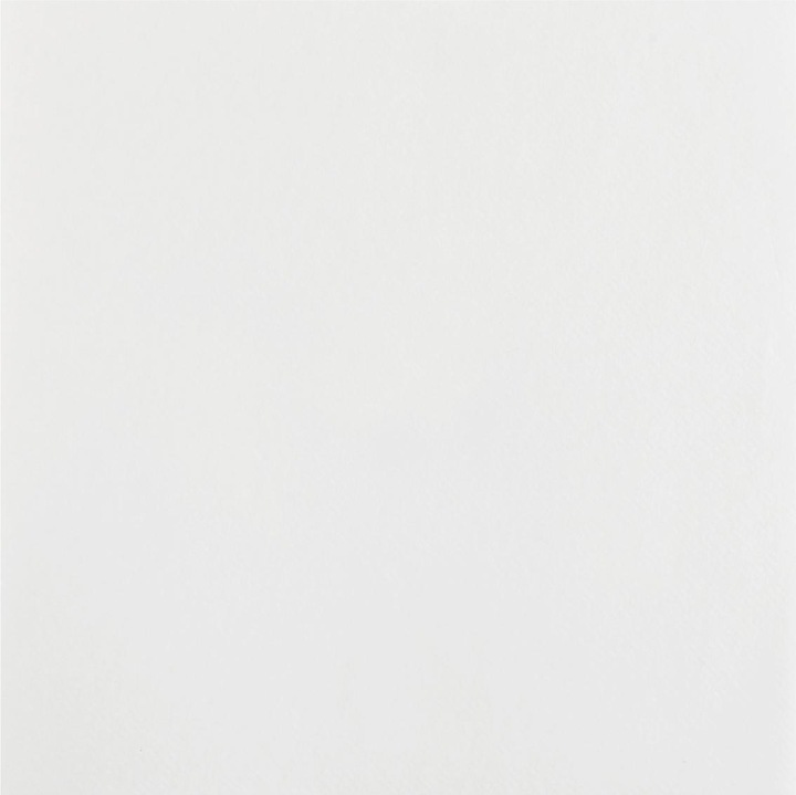 Actual product image Santex Airlaid (25 x, 40 x 40 cm)