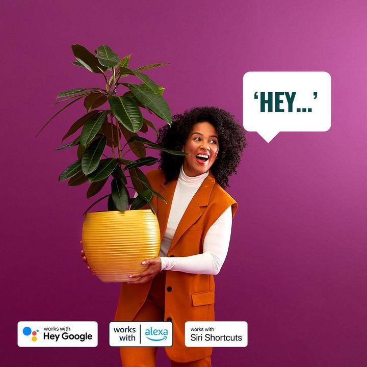 Produktbild WiZ Tunable White & Color 300lm Elpas Basis (300 lm, IP65)