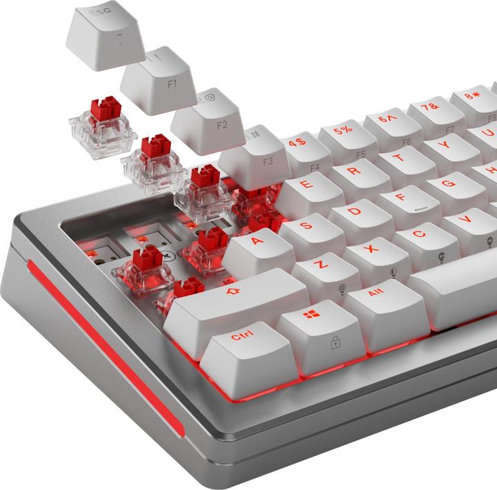 Actual product image Glorious HE Switches (36pcs) - Fox - Lubed - (Linear) 45g