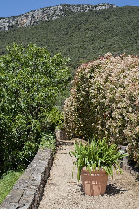 Produktbild Herstera Clasic Bordato