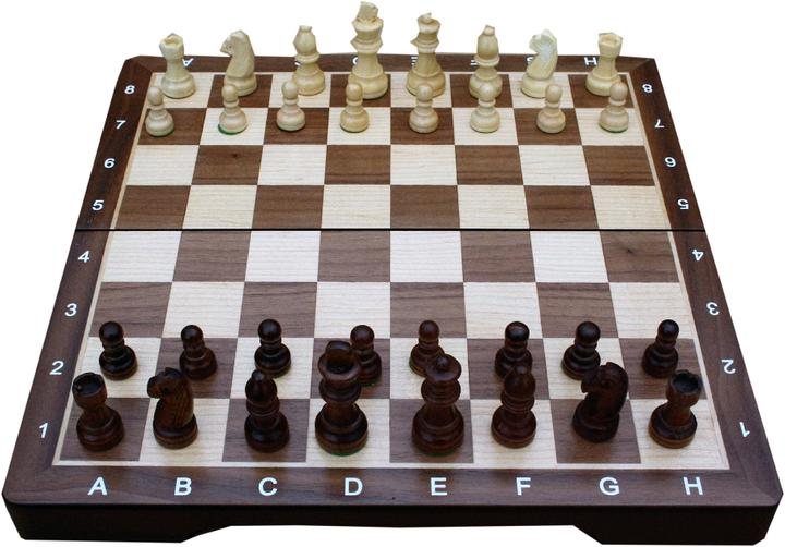 Actual product image Enigma Chess Set - Medium (TWE197911)