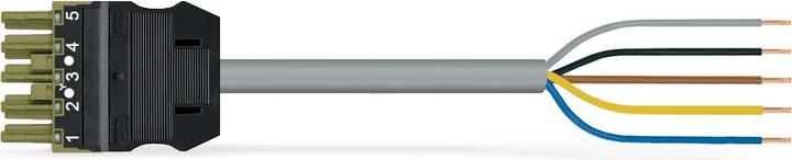 Actual product image Wago confect. Connection cable (2 m)