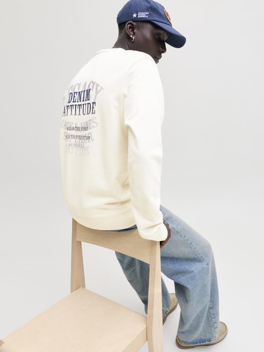 Produktbild Jack & Jones Jjedetroit Sweat Crew Neck Styd Aw25 (M)