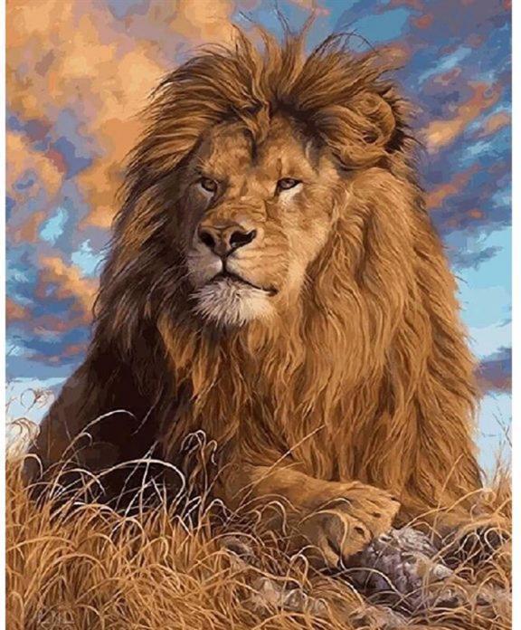 Pracht Diamond Painting Löwe