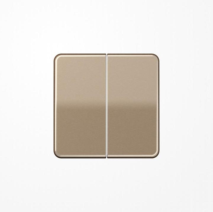 Produktbild JUNG Serienwippe CD595GB