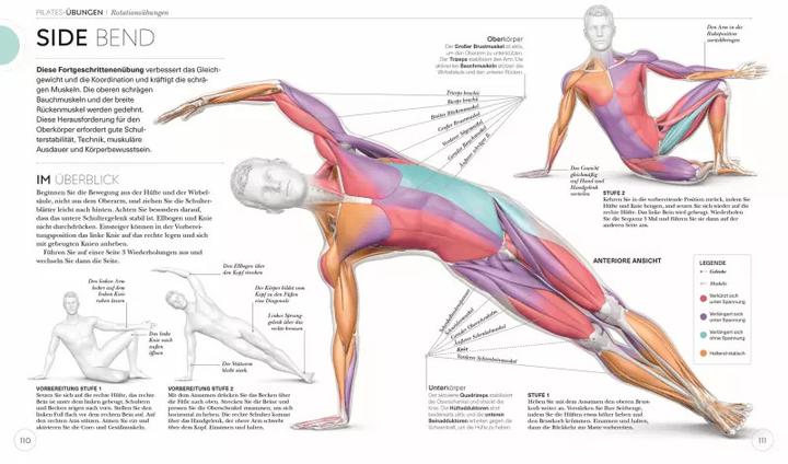 Produktbild Pilates - Die Anatomie verstehen (Deutsch, Tracy Ward, 2022)