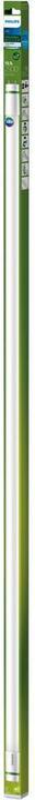 Image du produit Philips Tube fluorescent à LED (G13, 13.50 W, 2500 lm, 1 x, B)
