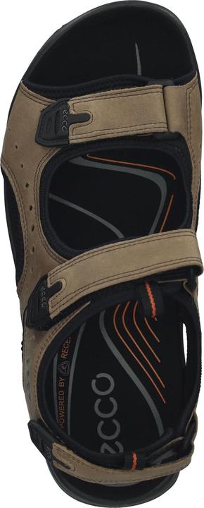 Actual product image Ecco Offroad Andes II (42)