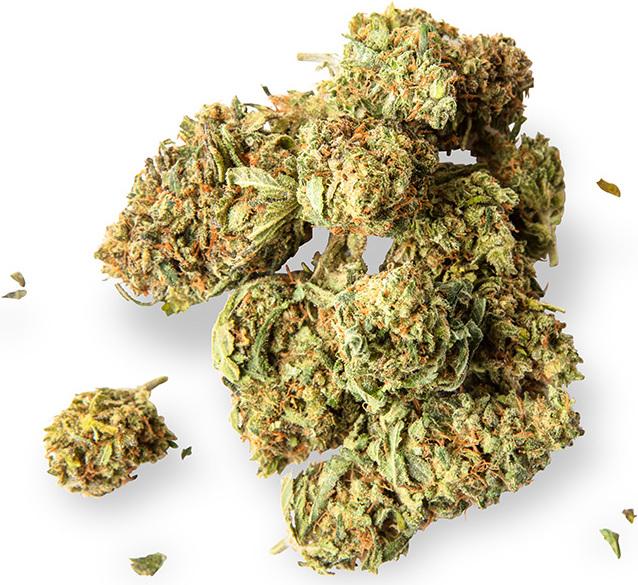 Produktbild Sweed Super Silver Haze (kleine Blüten) (10 g, Indoor)