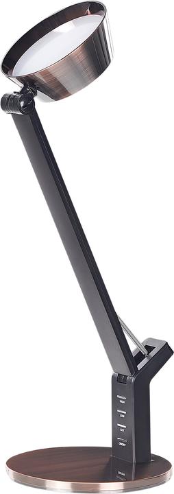 Image du produit Beliani Chamaeleon (250 lm)