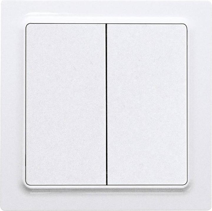 Actual product image Eltako F4T55EB-wg