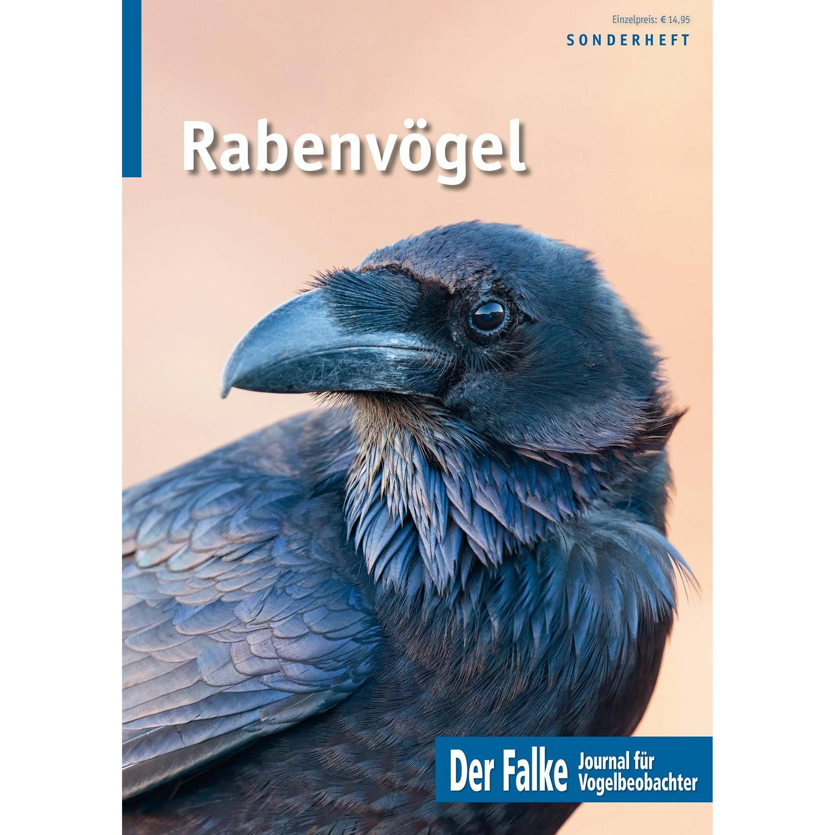 Rabenvgel, Ratgeber von Redaktion Der Falke