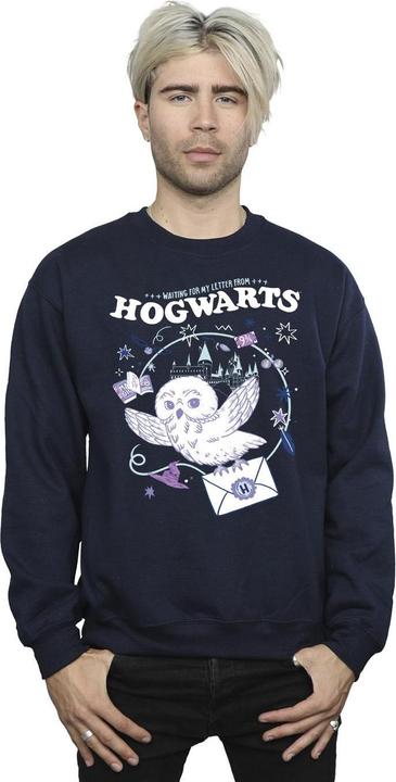 Actual product image Mens Owl Letter From Hogwarts Sweatshirt (M)