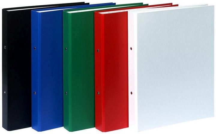 Actual product image Exacompta Ring binders (A4, 40 mm, 160 Piece)