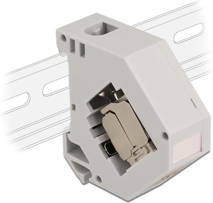 Image du produit Delock Hutschienenhalter mit Keystone Modul RJ45 Buchse Cat.6A LSA (Support de module Keystone)
