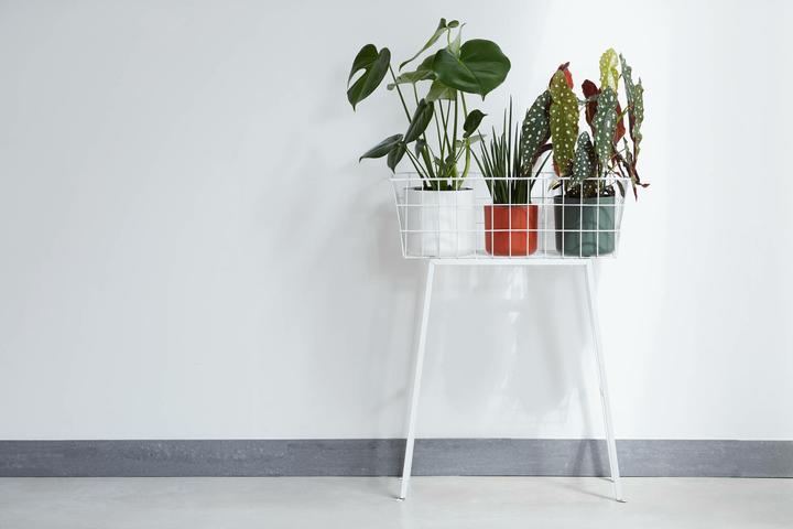 Actual product image Elho b.for soft (13.80 cm)