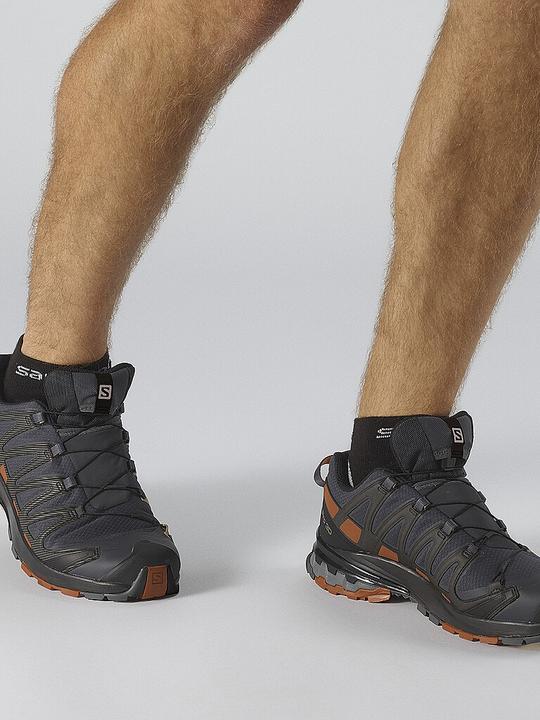 Produktbild Salomon XA Pro 3D v8 GTX (44 2/3)