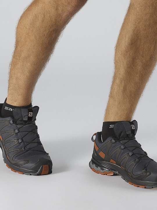 Produktbild Salomon XA Pro 3D v8 GTX (44 2/3)