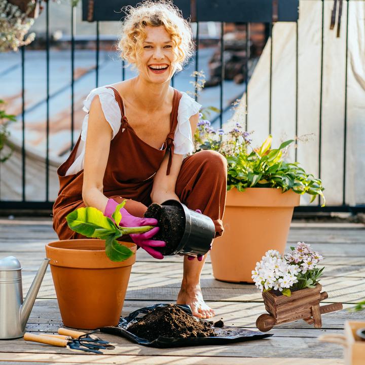 Actual product image Relaxdays Plant wheelbarrow (26 cm)