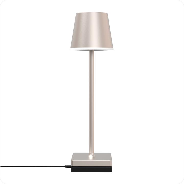 Image du produit XOXO Design Lampe de table rechargeable X2, 3W, 3000K, 38 cm, Champagne (285 lm)