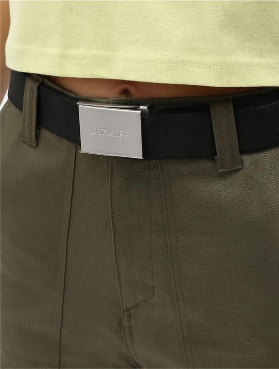 Actual product image Dickies Brookston Belt