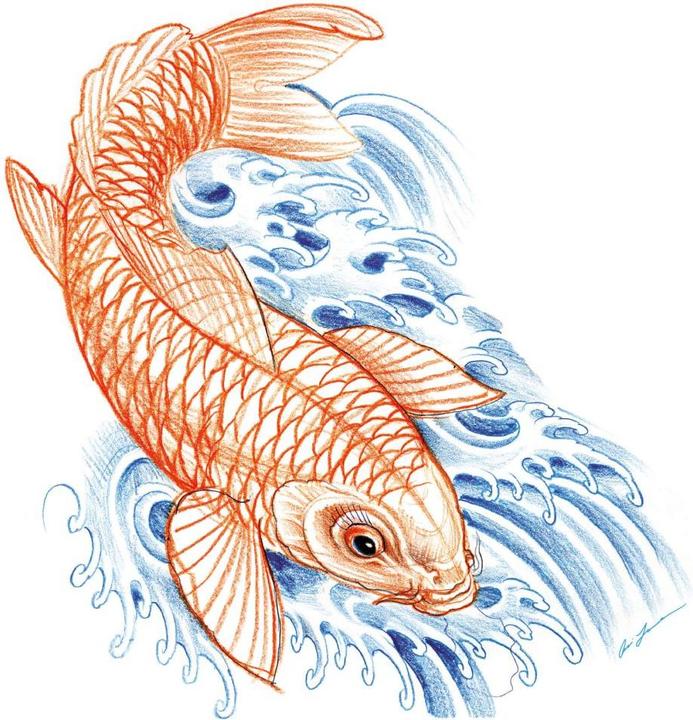 Actual product image Miami Ink Japanese koi (40 x 39 cm)
