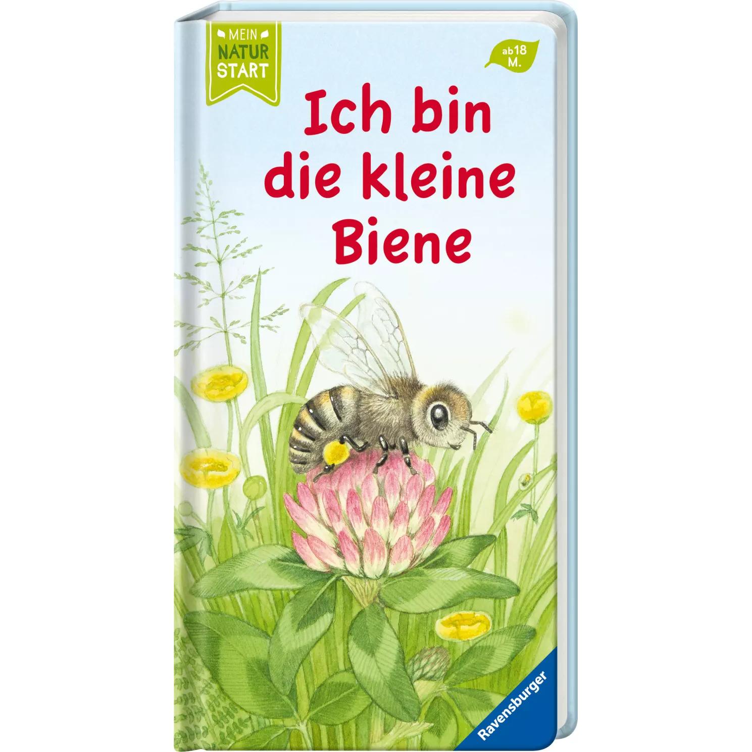 Thumbnail - Ich bin die kleine Biene, Kinderbücher von Christine Henkel, Sandra Grimm