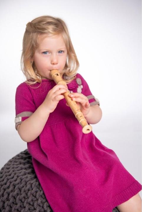 Actual product image Boogie Bee Recorder (German)