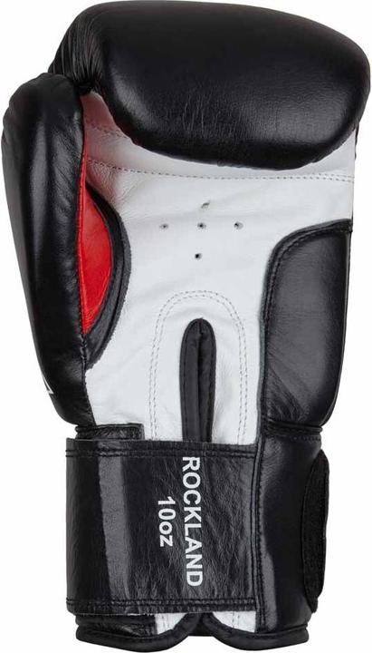 Actual product image Benlee Rockland (12 OZ, 12)