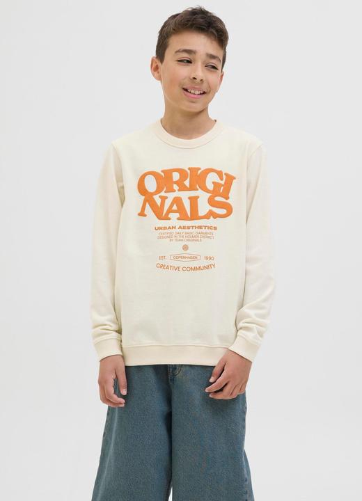 Image du produit Jack & Jones Gedruckt Sweatshirt Junior Sweatshirt (164)