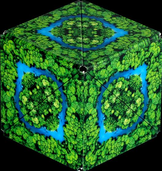 Produktbild Shashibo Cube Jungle