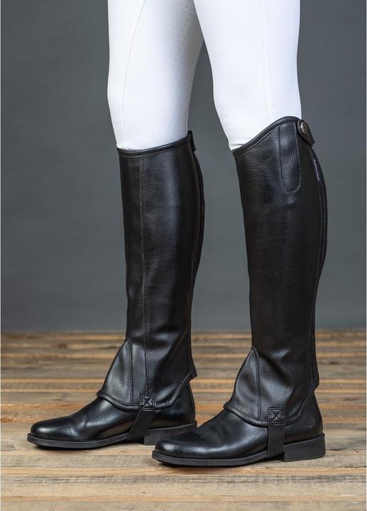 Produktbild Harry's Horse mini-chaps unity (XXL)