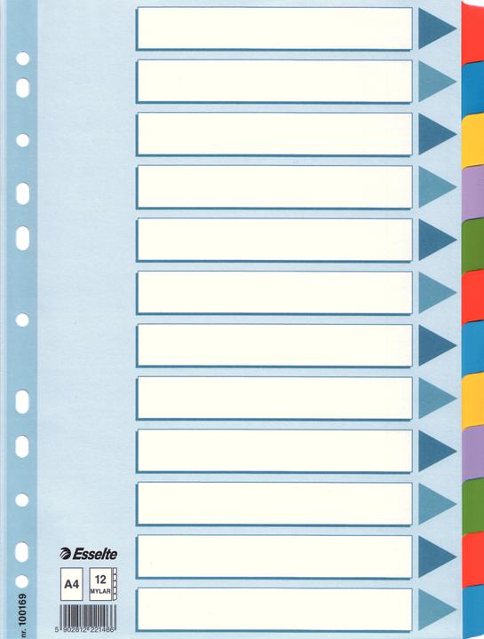 Actual product image Esselte Indice cardboard blank with reinforced tabs