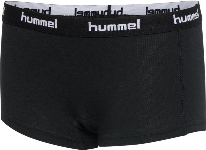 Image du produit hummel Hmlcarolina Hipsters 2pack (98, 104, lot de 2)