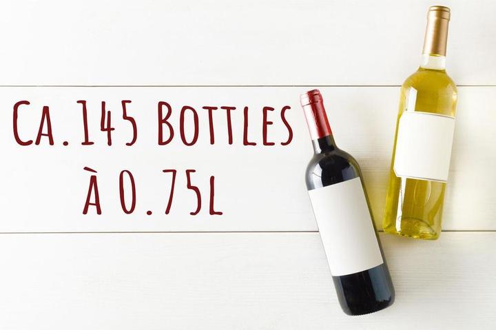 Actual product image Trisa 368L Triple Zone