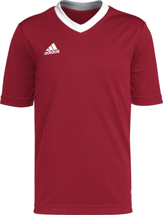 Produktbild adidas Entrada 22 Trikot (128)