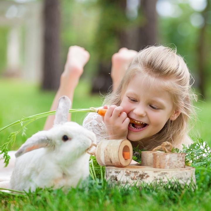 Produktbild Relaxdays Kaninchen Spielzeug