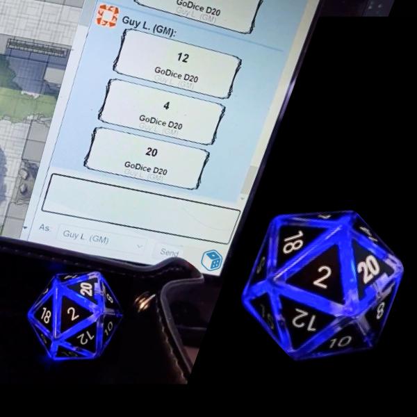 Actual product image Particula GoDice RPG Covers